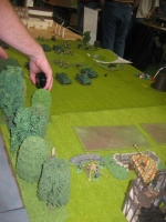 IMG_4356_1.JPG