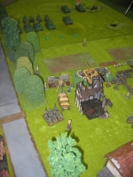 IMG_4384_1.JPG